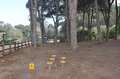 punto equilibrio gimnasio al aire libre en madera de pino