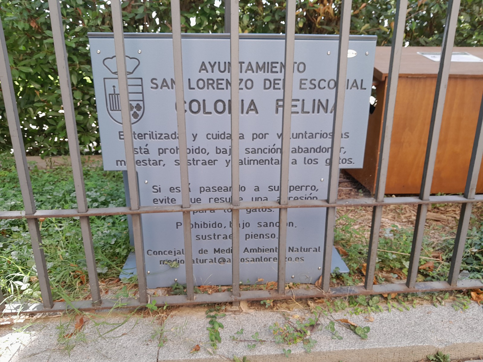 colonia felina comedero gatos