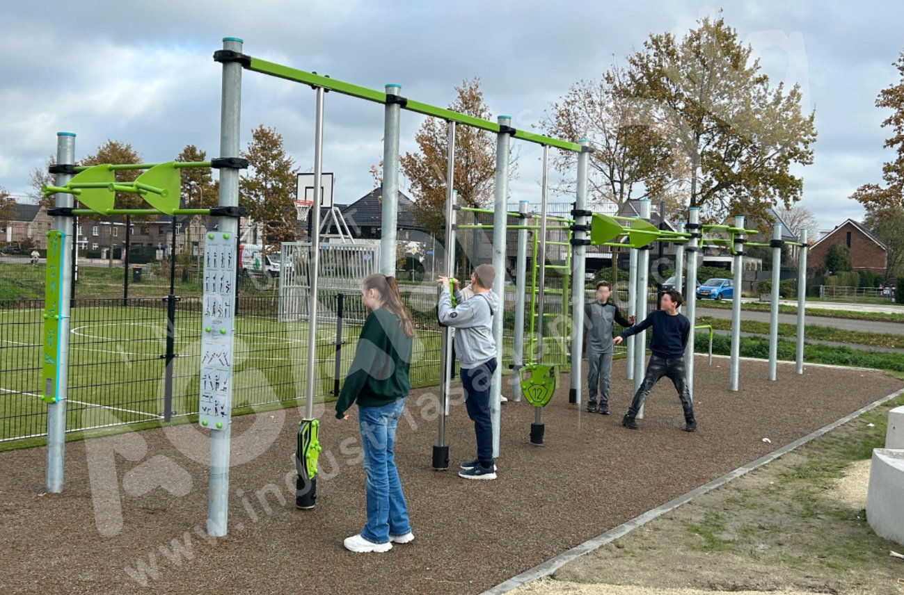 calistenia paises bajos certificado