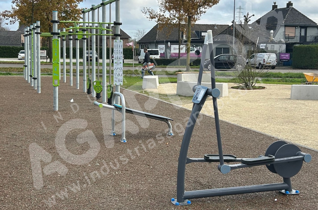 calistenia paises bajos certificado