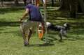 aparato rueda agility para parques caninos
