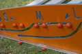 valla salto longitud agility exterior regulable