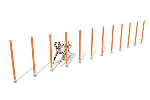 postes slalom para parques agility exterior 3d
