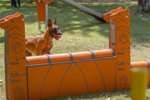 agility-muro-salto-300
