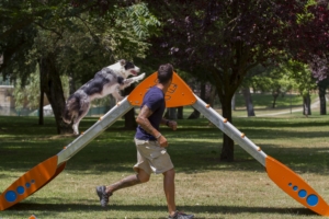 empalizada-agility-300