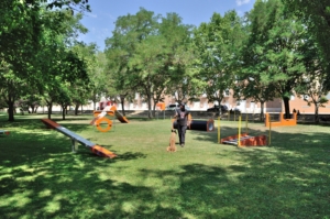 parque-agility-perros-300