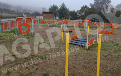 Monesterio en Badajoz estrena circuito canino agility