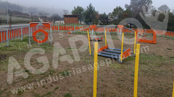 Monesterio en Badajoz estrena circuito canino agility