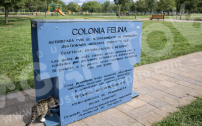 Industrias Agapito, fabricante de comederos felinos municipales