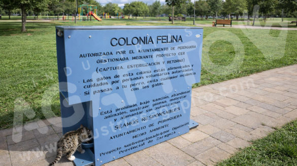 Industrias Agapito, fabricante de comederos felinos municipales