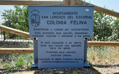 Instalación de comederos felinos de Industrias Agapito en Madrid